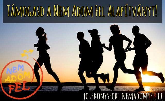 NAF_jótékony sportkövet_kép